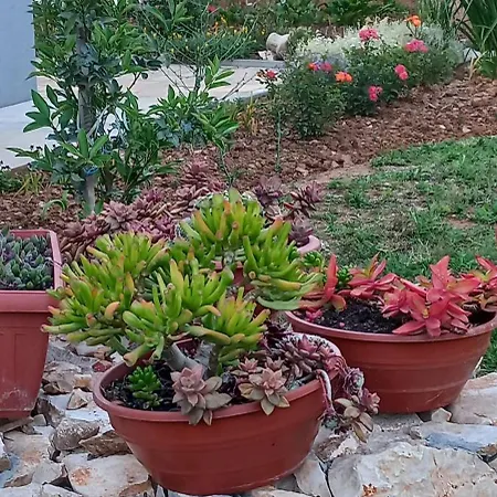 Lastva 1&2 圣菲利普雅科夫