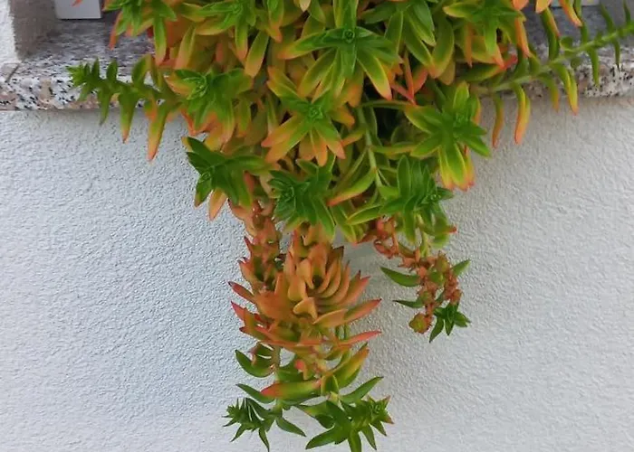 Lastva 1&2 Daire Sveti Filip i Jakov