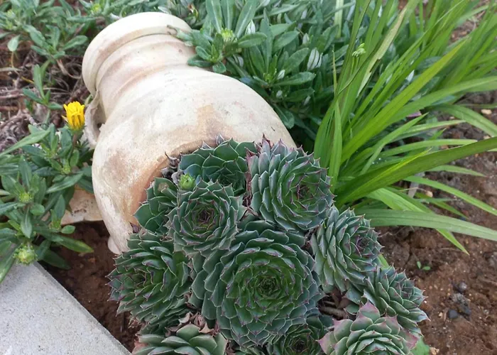 Lastva 1&2 * Sveti Filip i Jakov